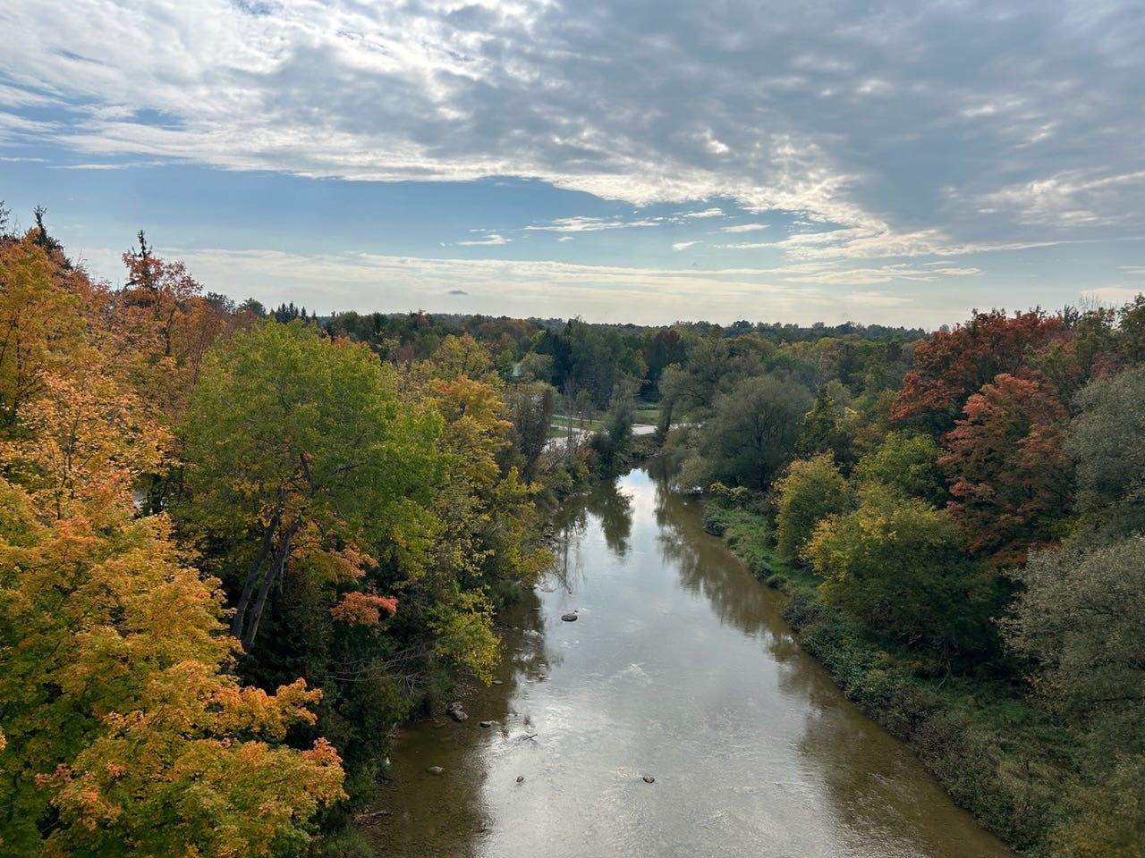 View looking down on a river with trees changing colour and the blue sky and clouds overhead.