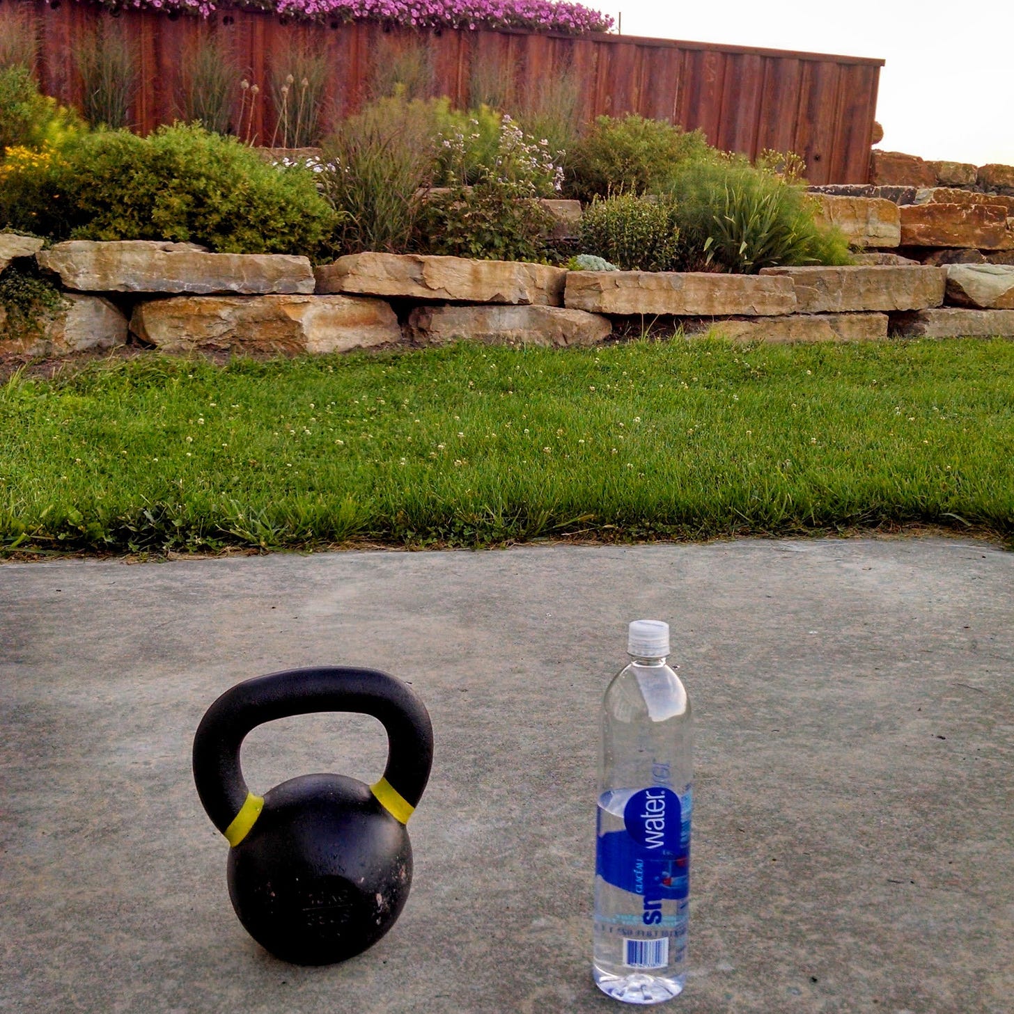 A kettlebell and a bottle of water on a patio, with a retaining wall planted with shrubs and flowers.