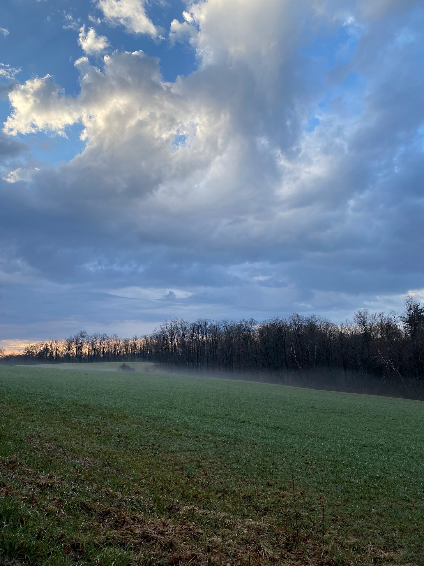 A misty green field at sunrise, under a blue sky full of swooping silver and purple clouds.
