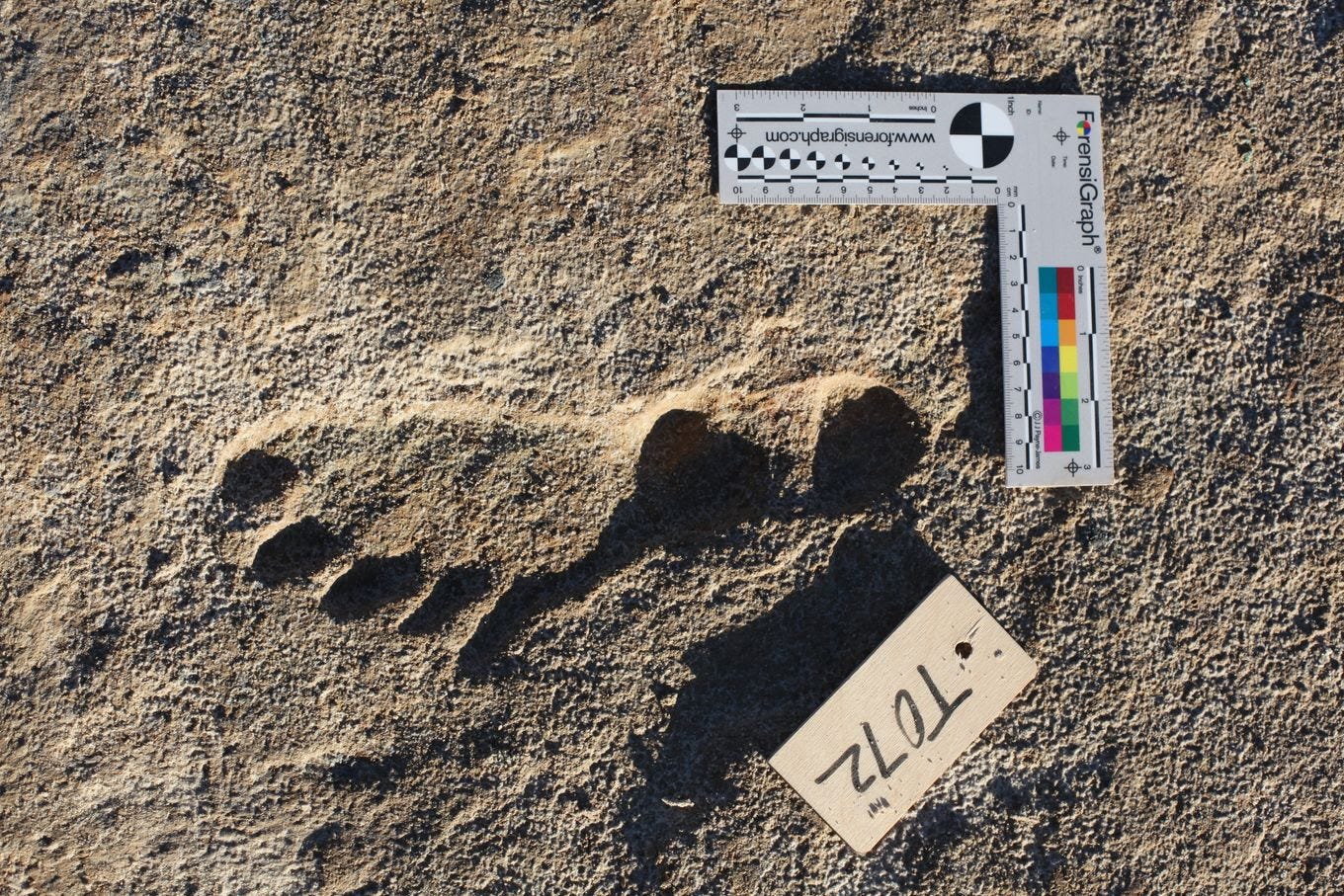 A human footprint found at White Sands National Park. (National Park Service)