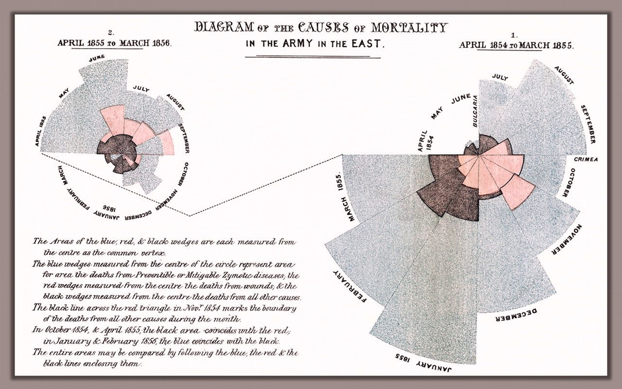 Florence Nightingale's Rose Diagram. | Florence nightingale, Data ...