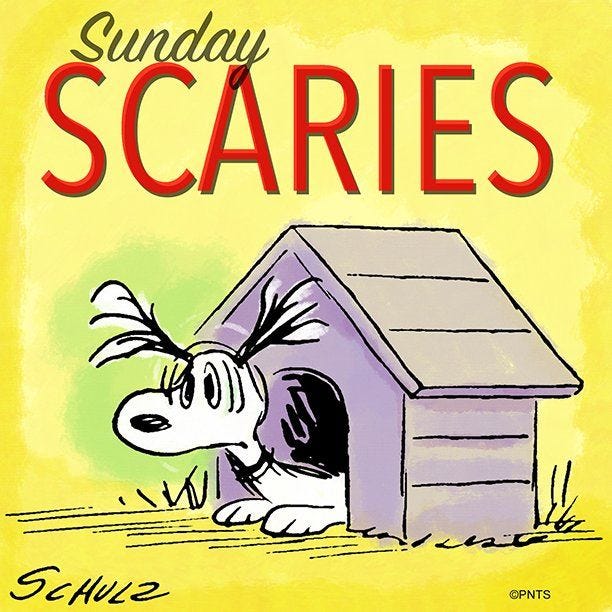 PEANUTS on | Sunday scaries, Peanuts snoopy, Snoopy