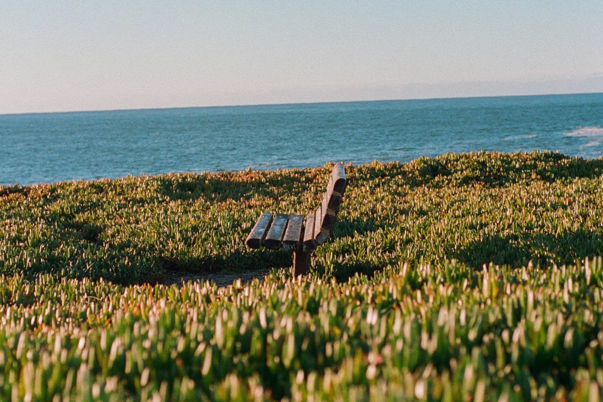 An empty wooden bench sits in a field of grass overlooking a large body of water.