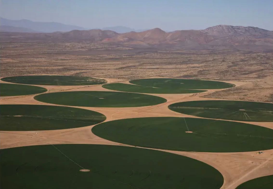 Image of circular ag fields in the desert Image of circular ag fields in the desert