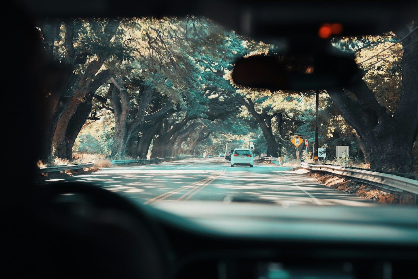 Looking out the front window of a car to a Maui street with huge trees meeting in an arch overhead. The picture is taken through the windshield, with rearview mirror and dashboard and the partial silhouette of a driver all framing the view.