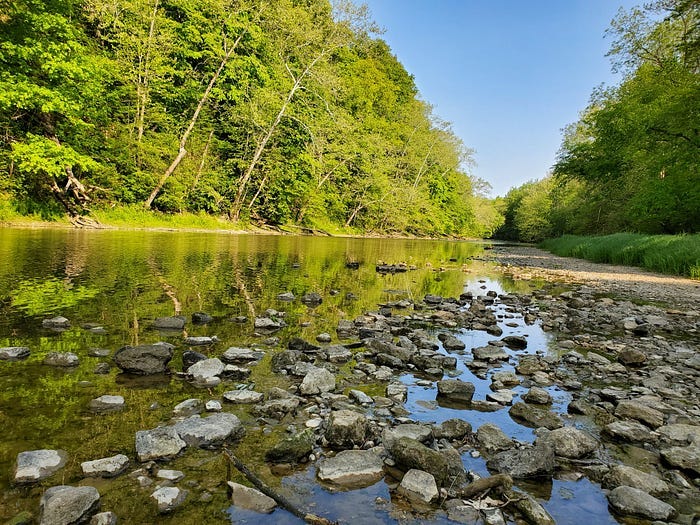 Salamonie River in Salamonie River State Forest.