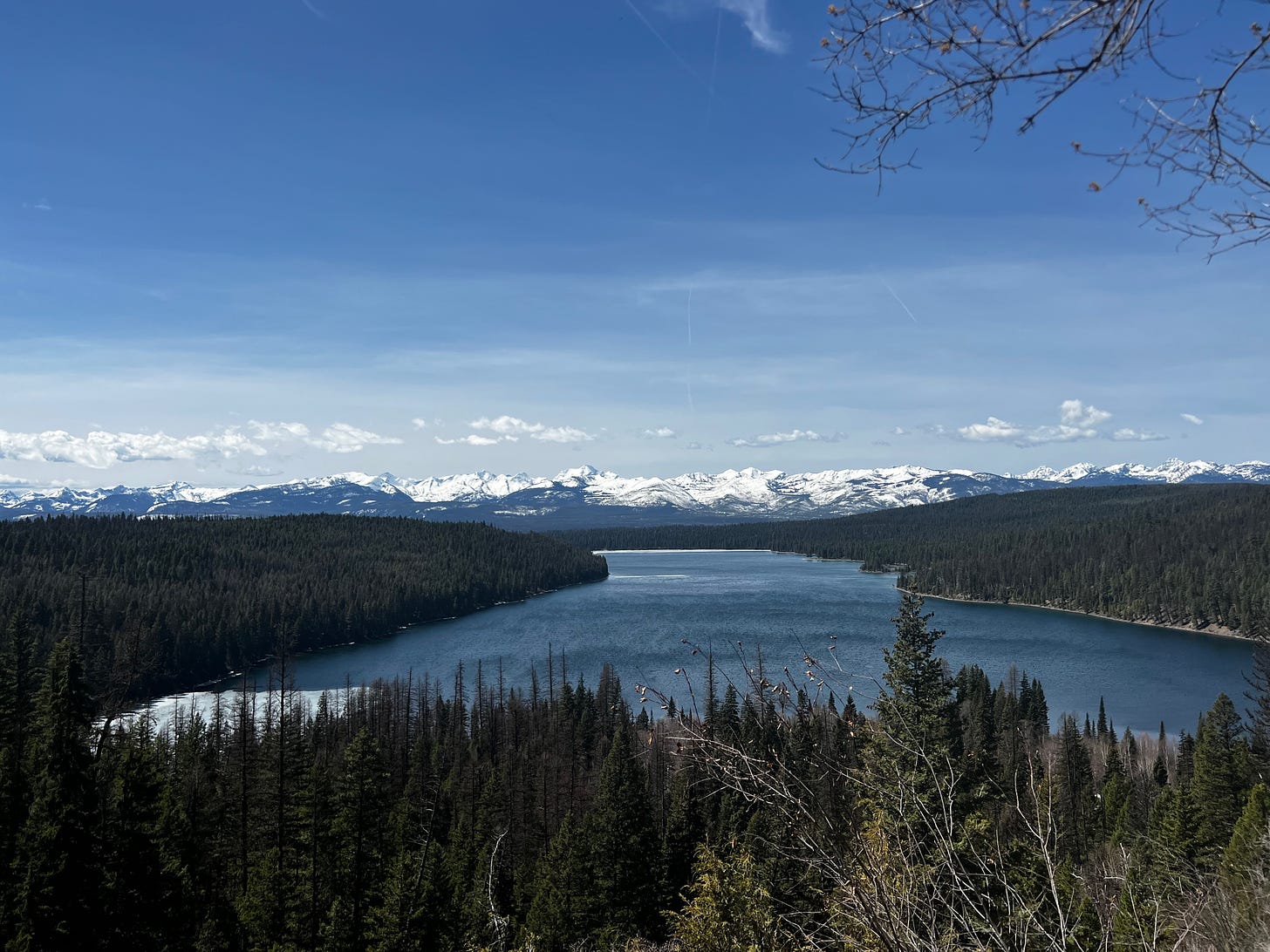 Mostly blue sky over snow-capped mountains on the far horizon, with a lake surrounded by evergreen forest in the foreground.