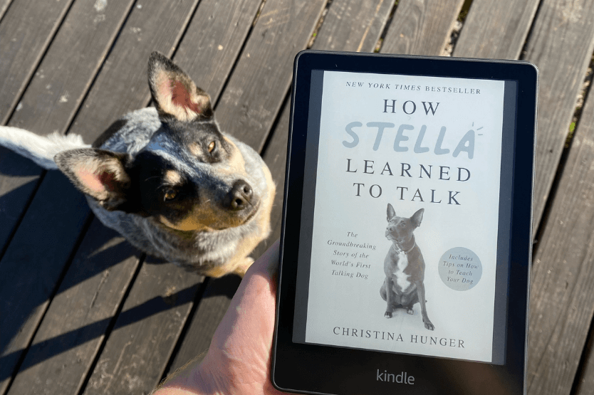 Scout the blue heeler sits on a wooden deck looking up at her owner behind the camera, who holds a Kindle with the book cover of How Stella Learned to Talk displaying on the screen in the foreground of the frame