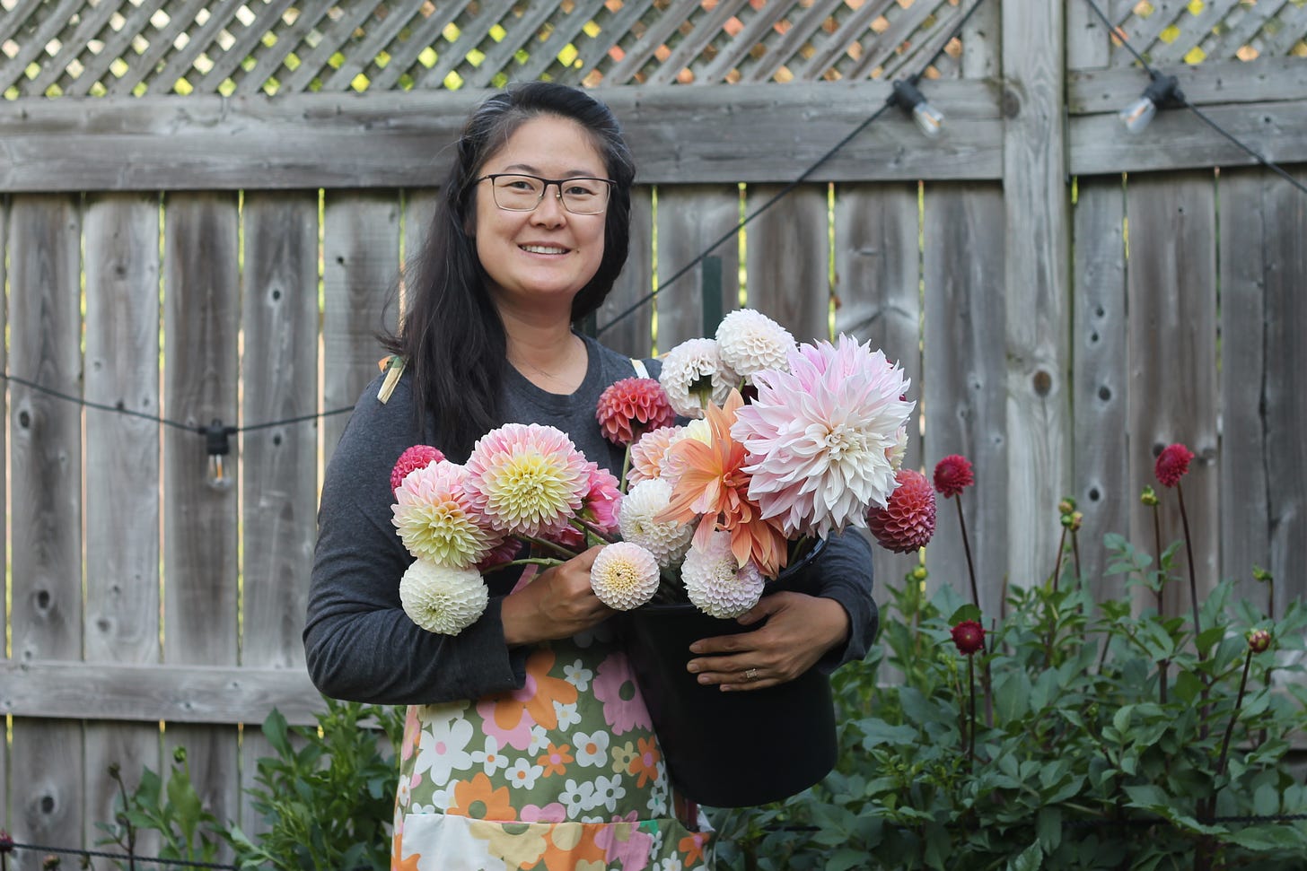 An Asian woman with long hair and glasses stands in front of a dahlia patch holding a bucket of dahlias. She is wearing a 70s floral romper.