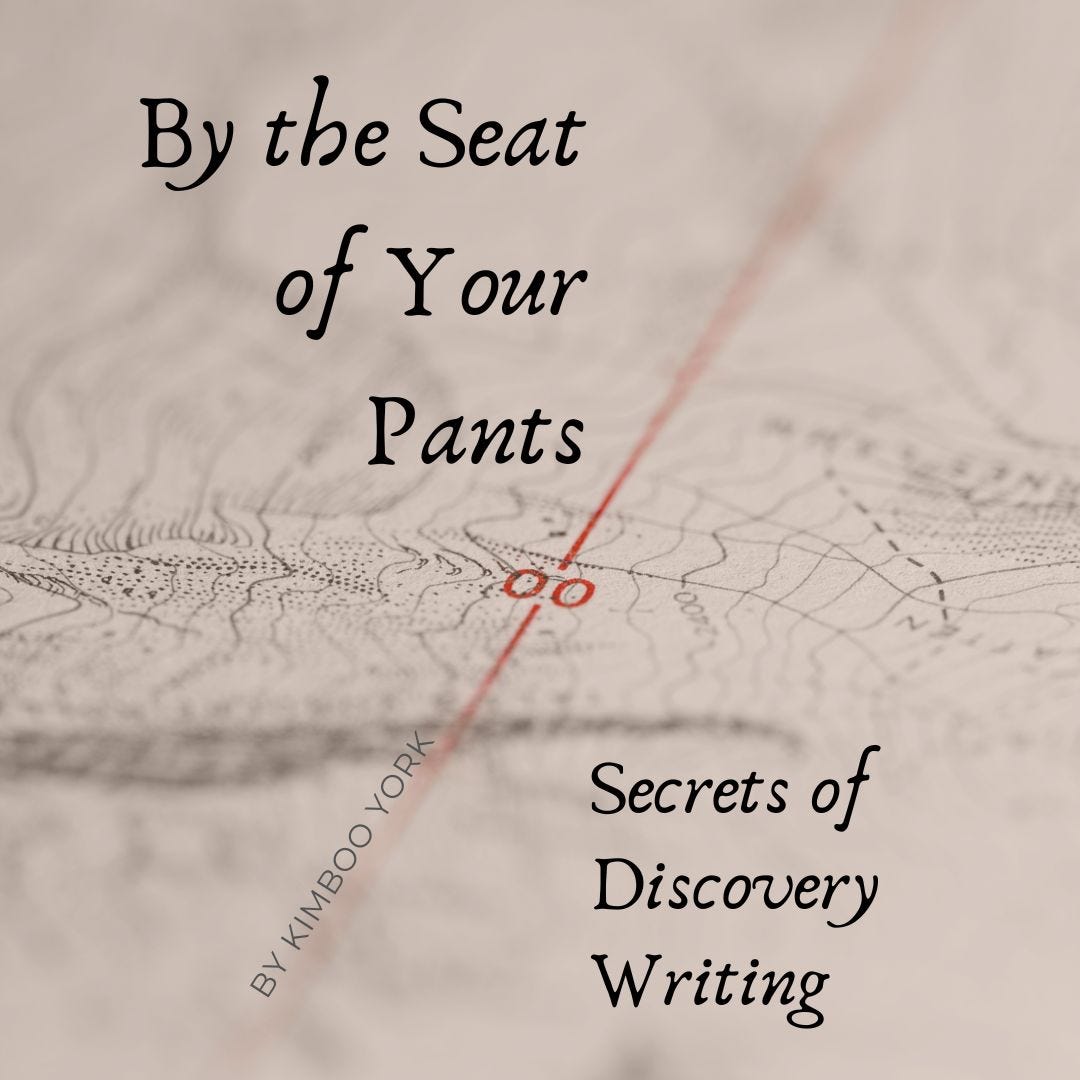 Cover of book with title: By the Seat of Your Pants: Secrets of Discovery Writing