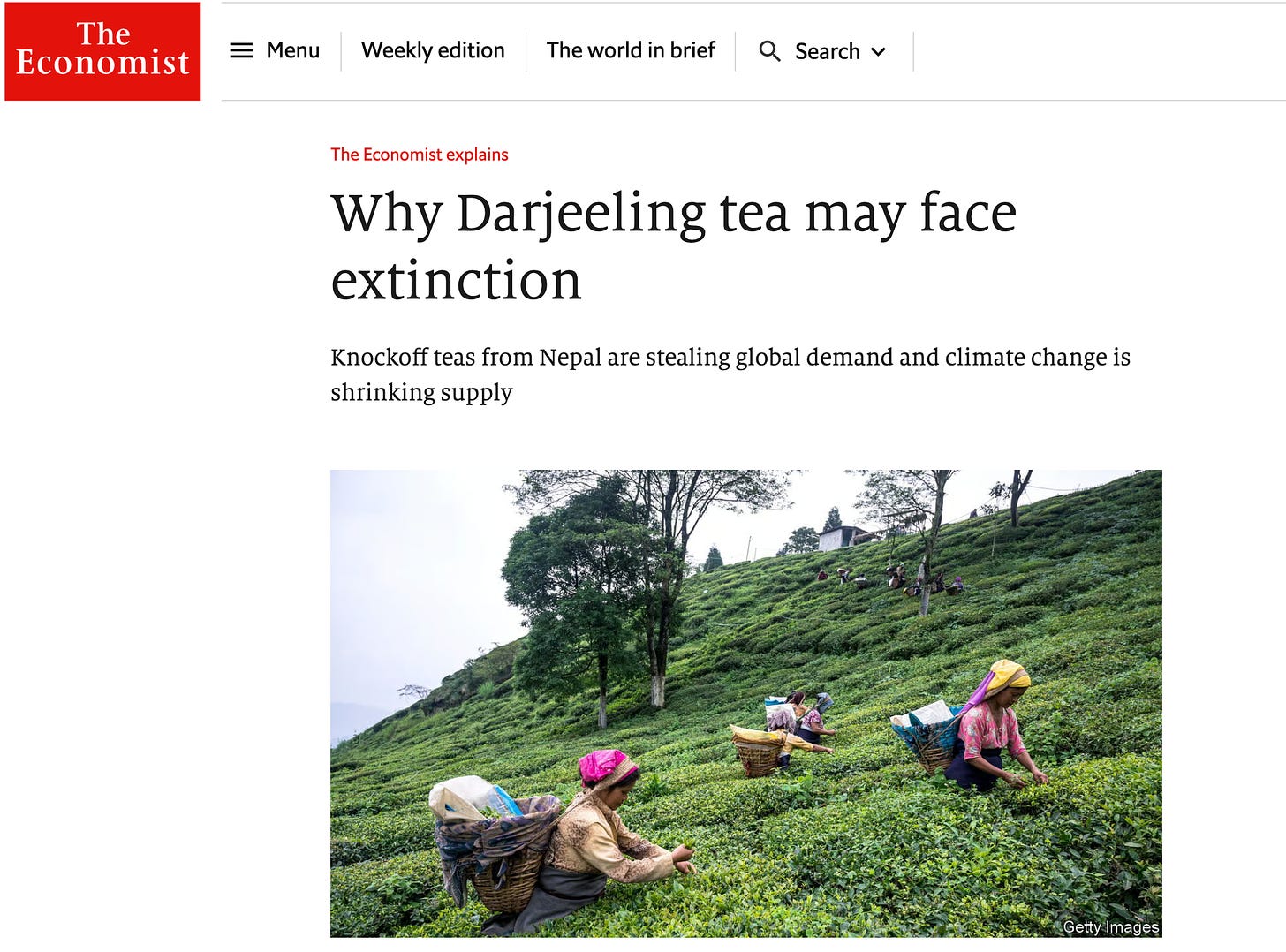 The Economist Darjeeling Tea Dorje Teas Selim Hill