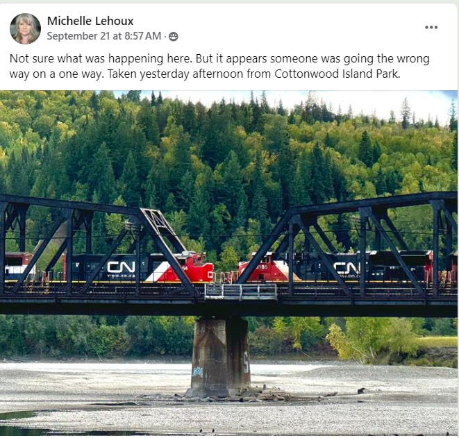 Two trains facing each other on the tracks