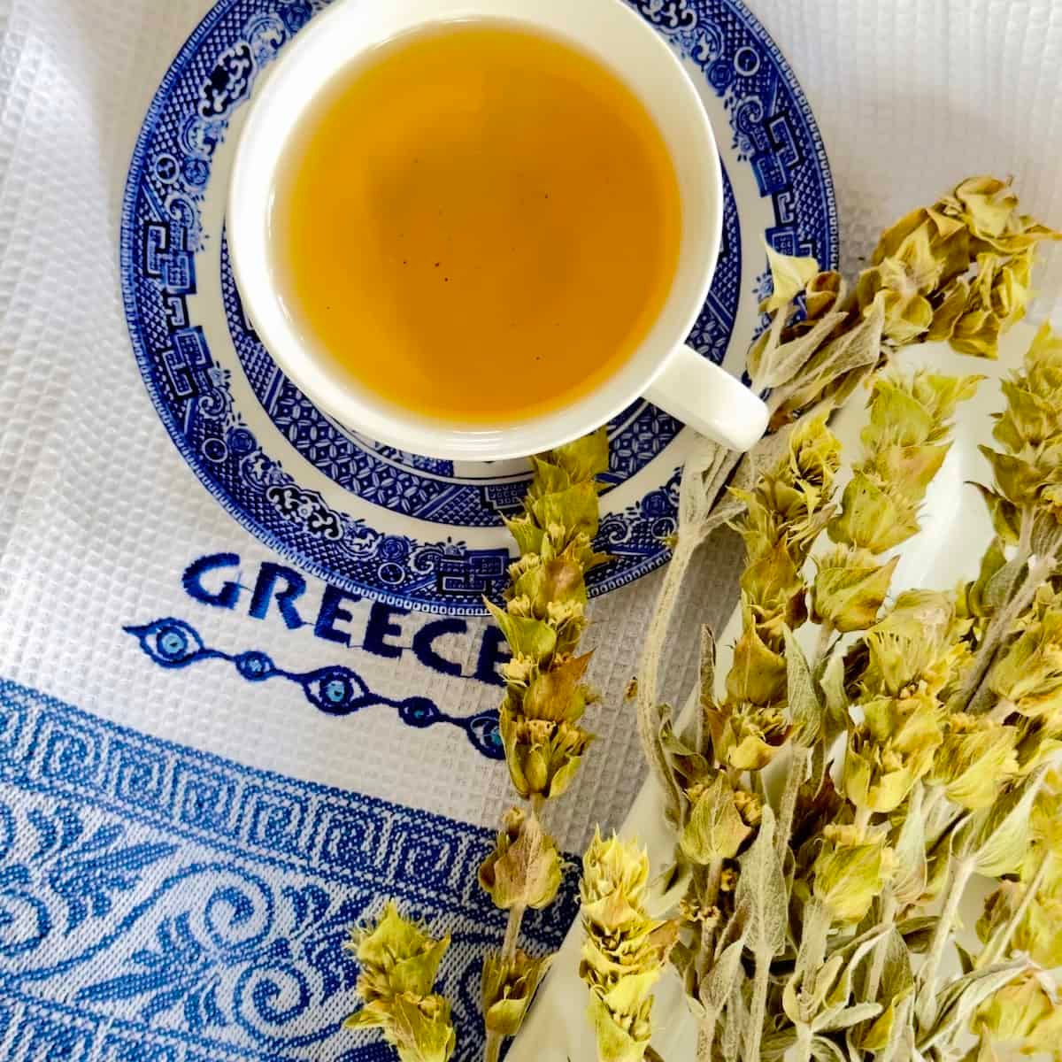 greek mountain tea