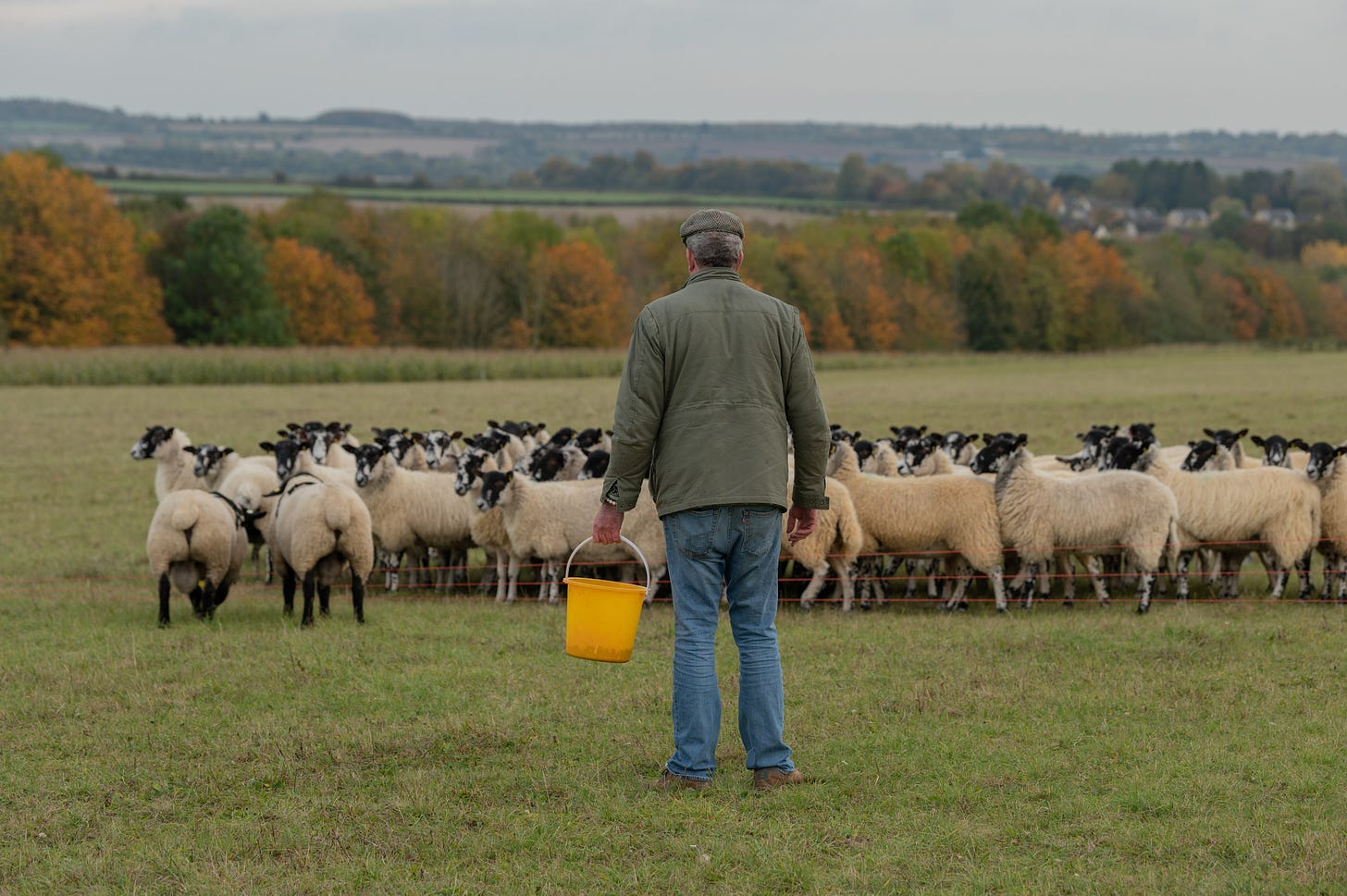 Clarkson's Farm Review: Amazon Series Stars Former Top Gear Host ...