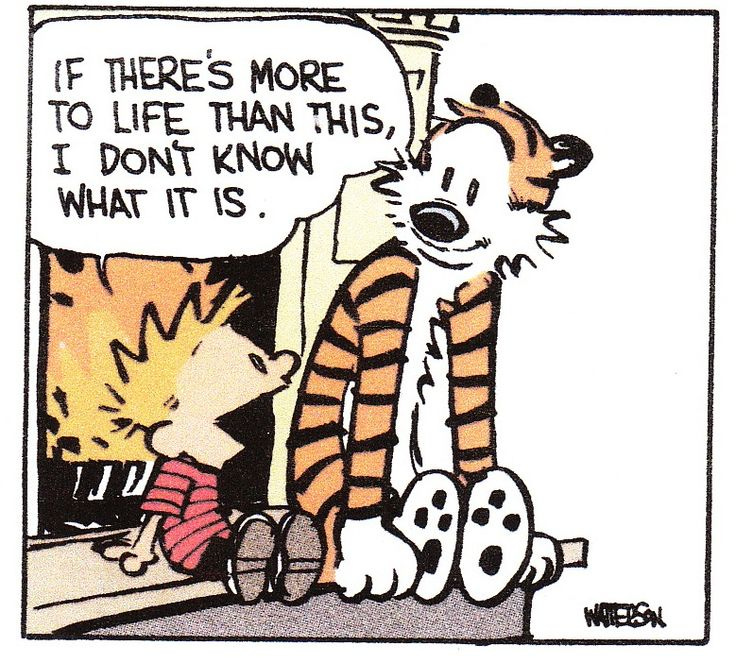 Friendship | Calvin and hobbes quotes, Calvin and hobbes, Calvin and hobbes  comics