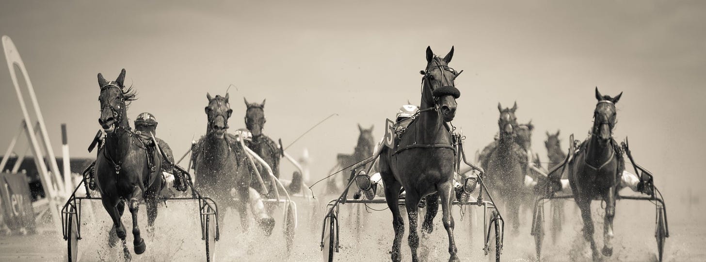 Photo of racing horses by Martin Damboldt from Pexels