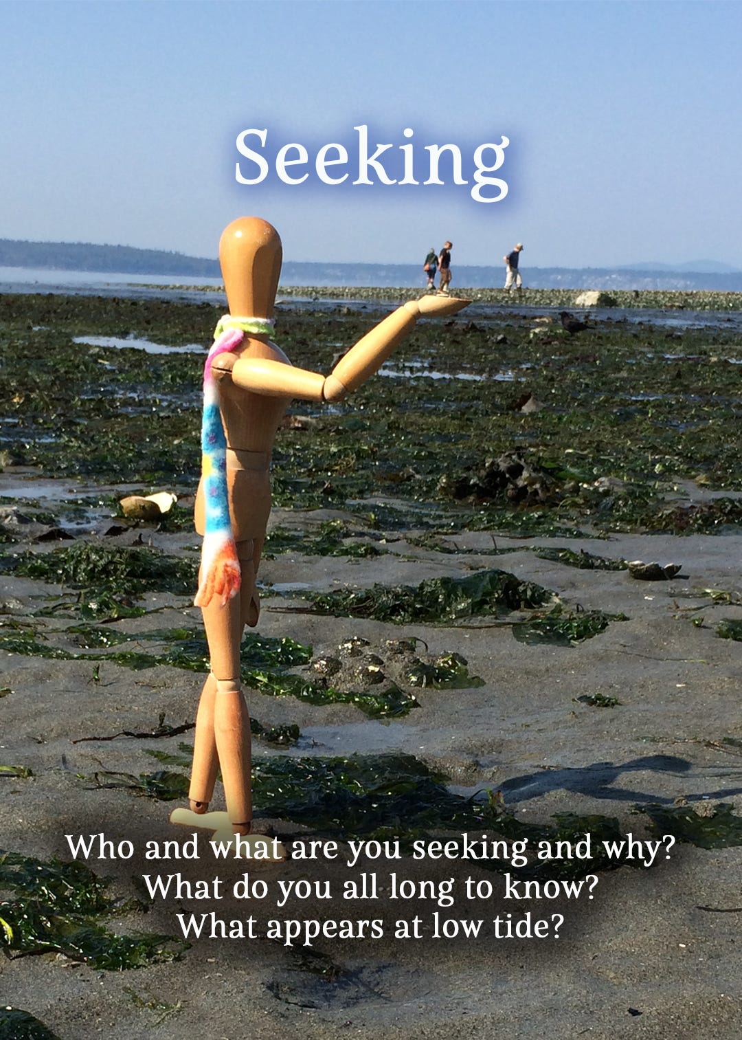 Emotikin at low tide, holding out her hand, as if holding tiny humans in the distance also seeking something at low tide. Title on the image is Seeking and questions in type at the bottom say Who and what are you seeking and why? What do you all long to know? What appears at low tide?