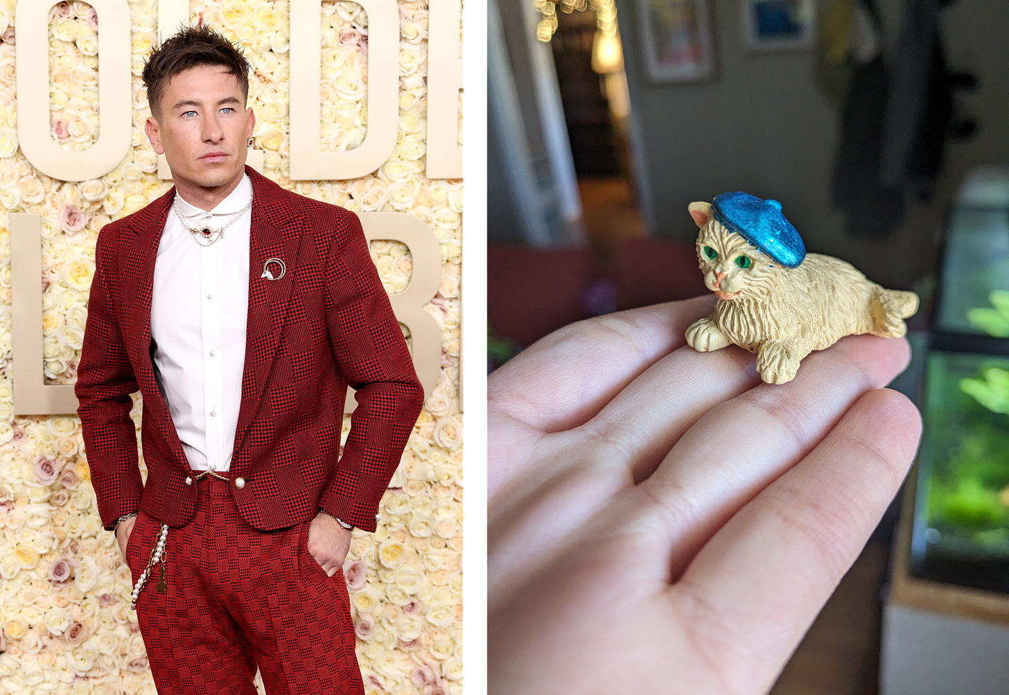 Left: Barry Keoghan in a red checked suit situation. Right: Parisian cat lounging in a metallic blue beret.