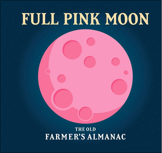 June Full Pink Moon. Photo Credit: Colleen Quinnell/The Old Farmer's Almanac