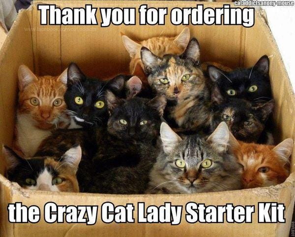 kittens in a box