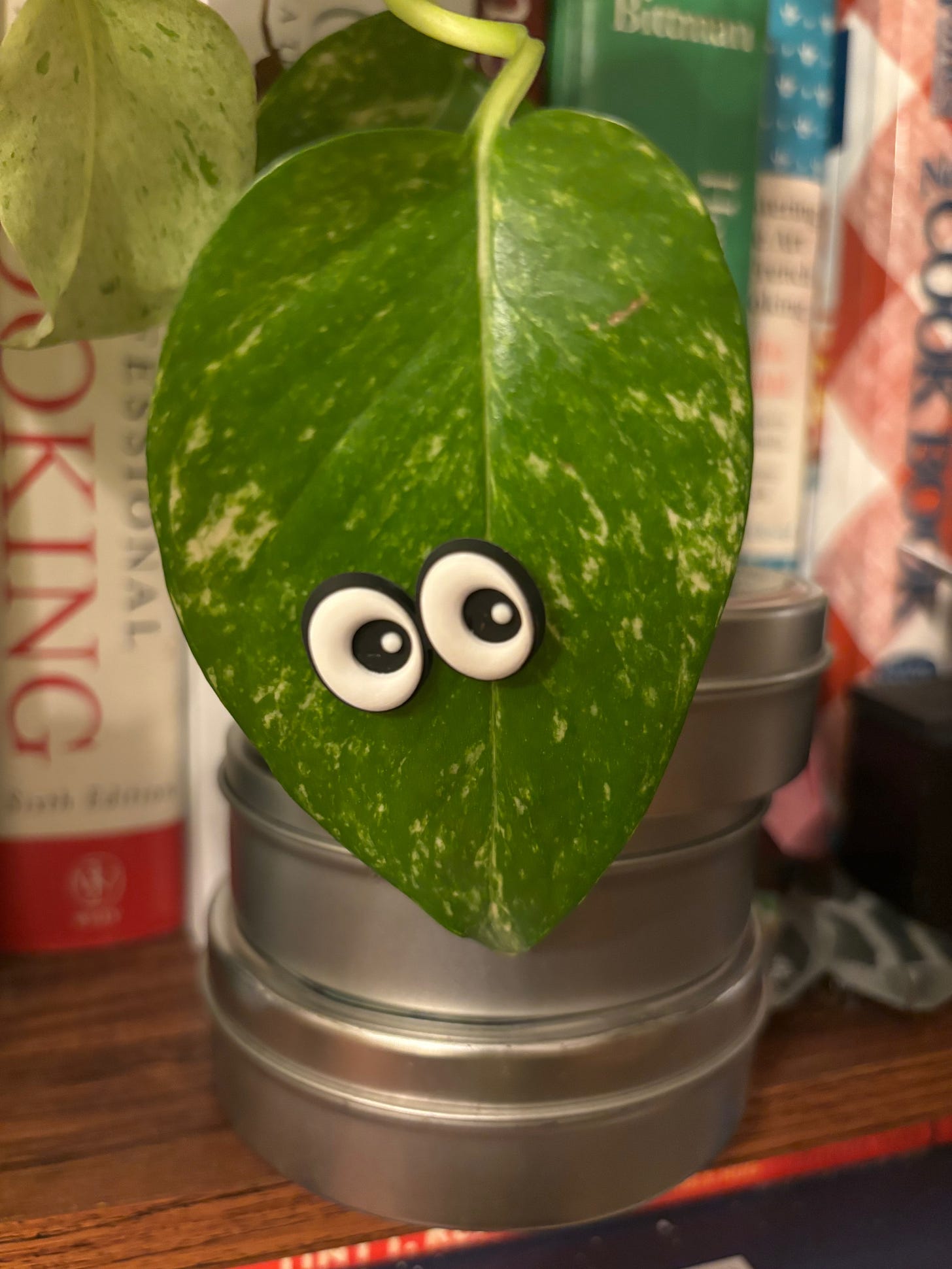 A plant leaf with cartoon eyes on it