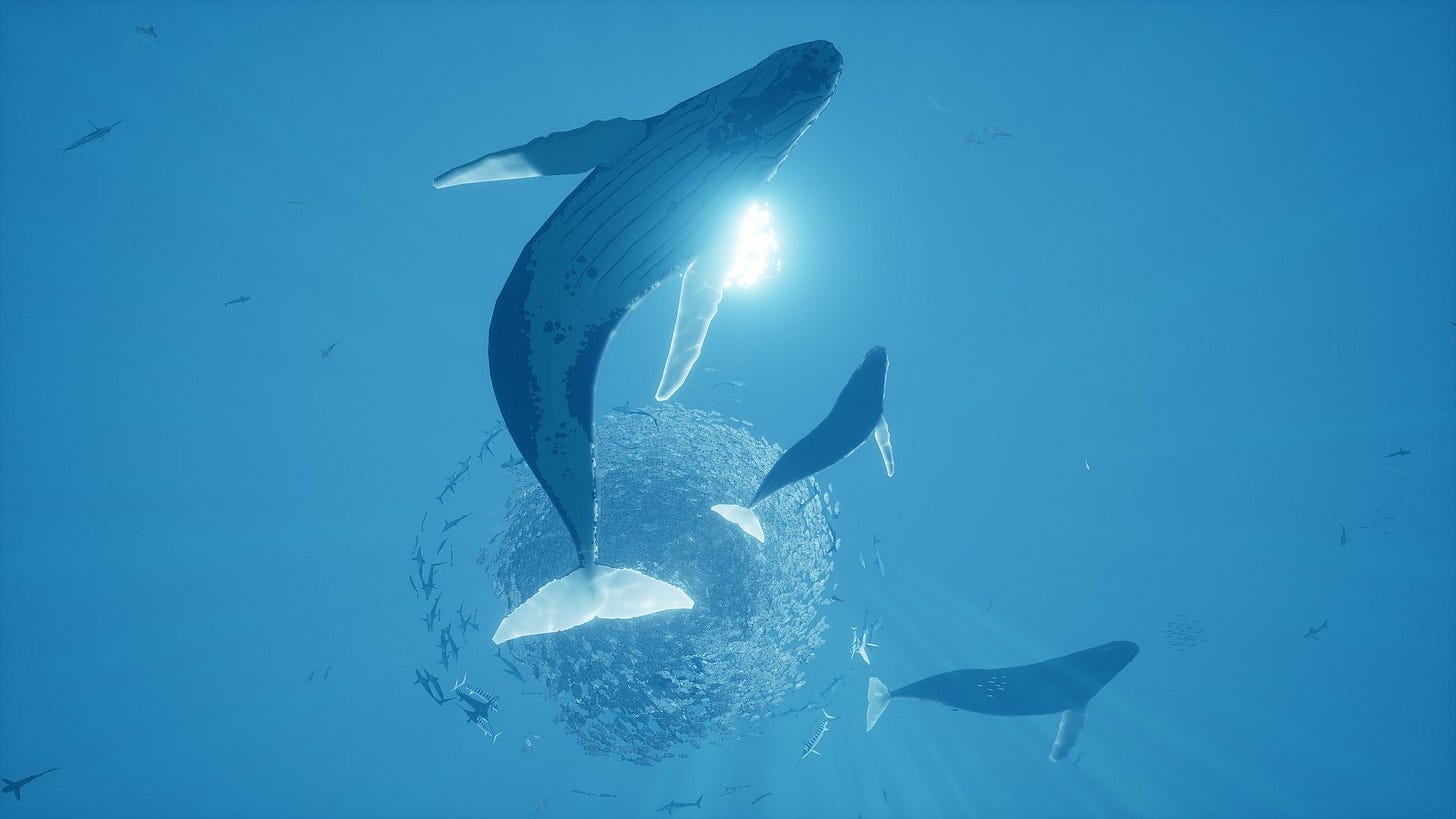 Happy #WorldWhaleDay! Snippets for February 19th, 2023