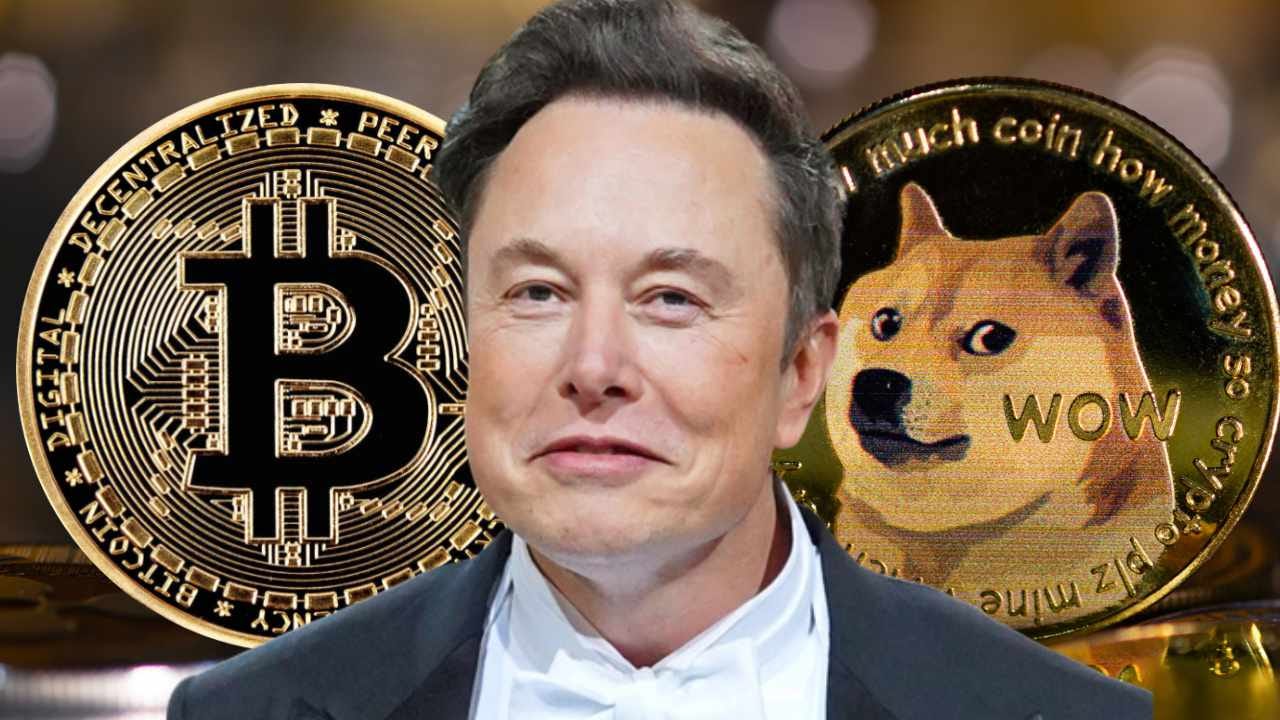 Elon Musk: Bitcoin Will Make It — Dogecoin to the Moon – Markets and Prices  Bitcoin News