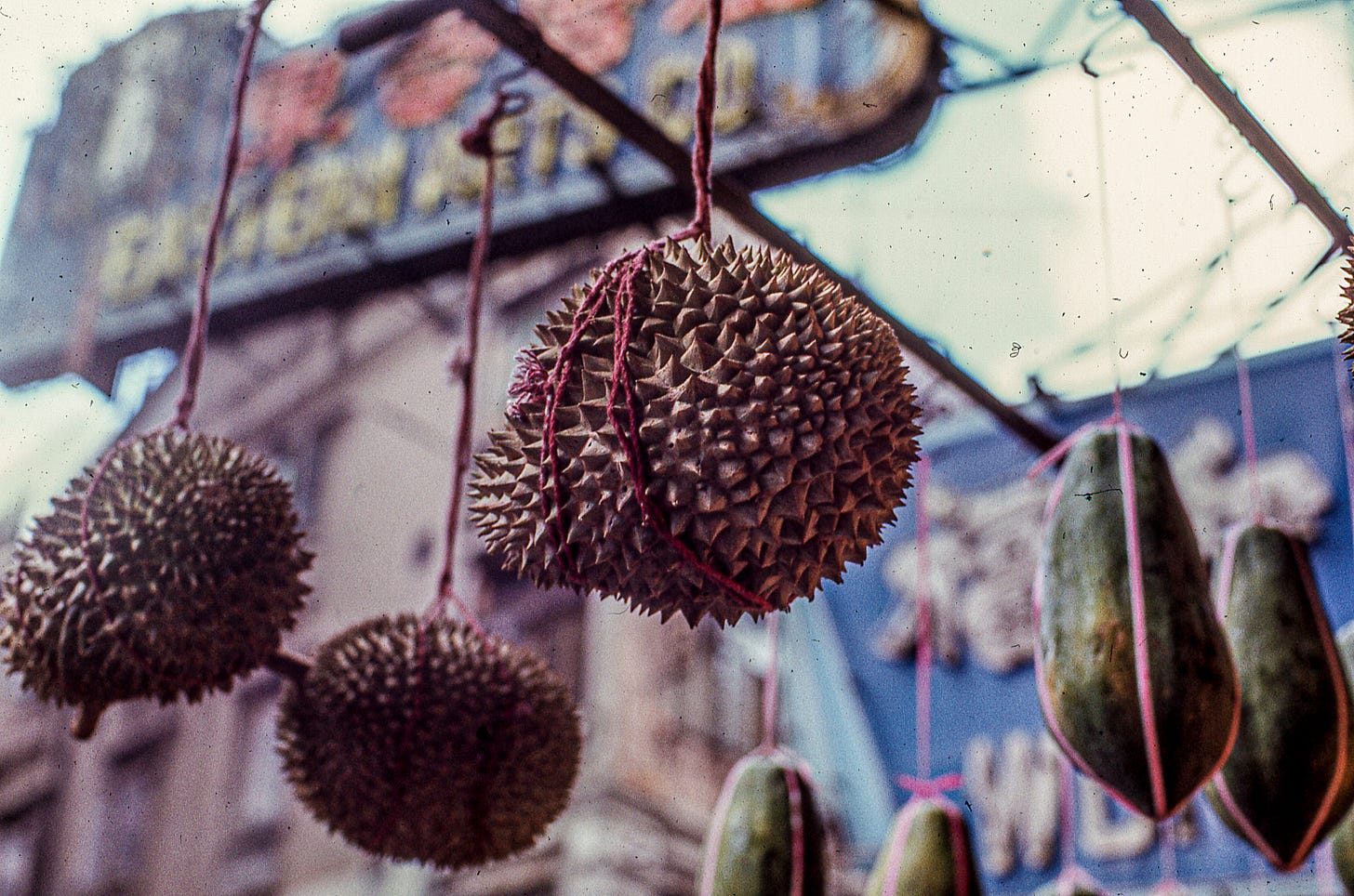 Durian