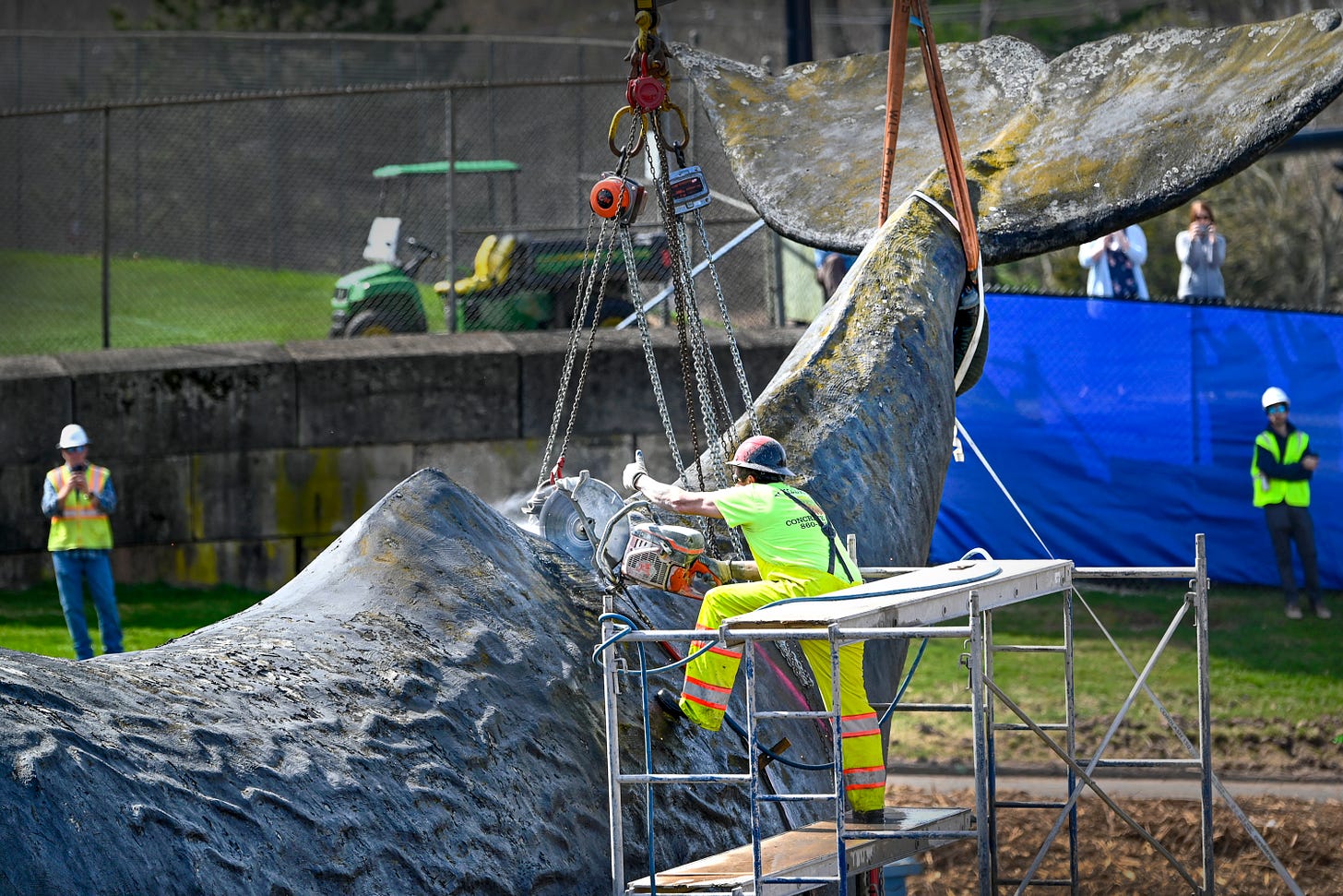Save the tail, demolish the whale. Conny, a 20-ton West Hartford sculpture,  is disassembled | Connecticut Public