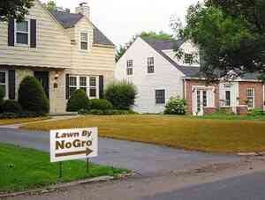 A brown lawn with a sign saying 'No Gro"