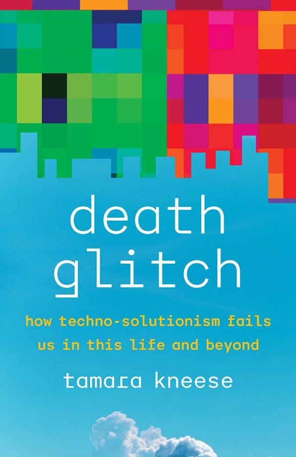 The cover of Death Glitch by Tamara Kneese