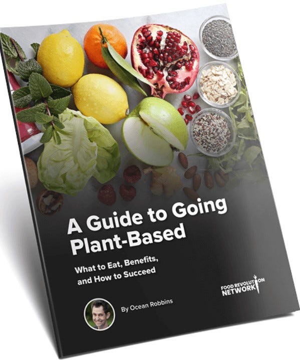 A Guide to Going Plant-Based