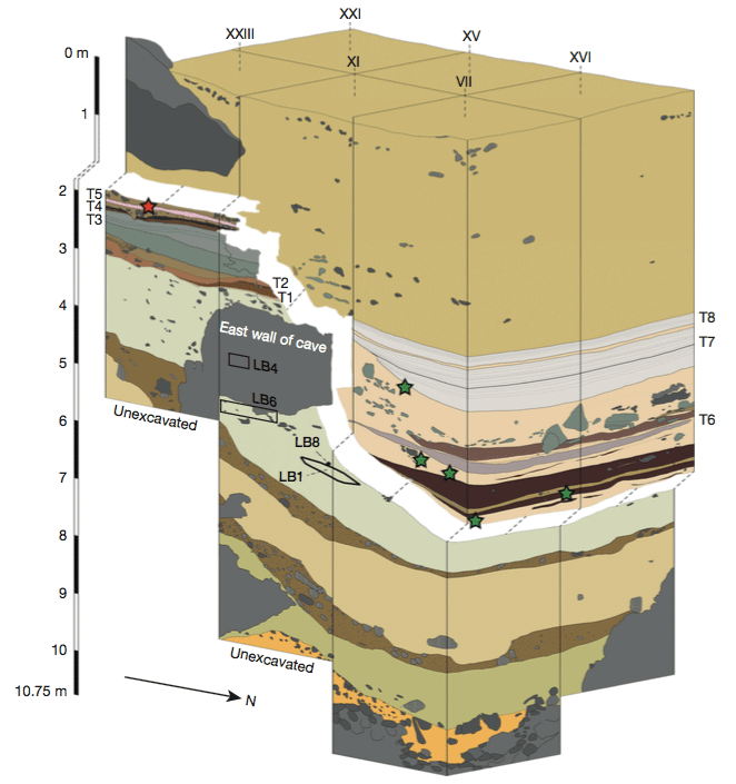 Liang Bua stratigraphy Liang Bua stratigraphy