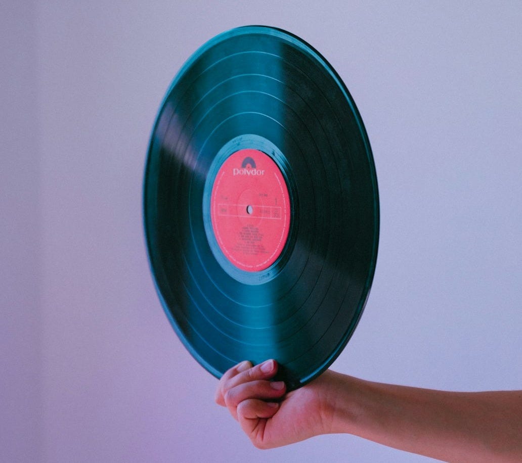 person holding vinyl record