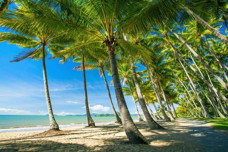 Palm Cove is a great place to visit around cairns