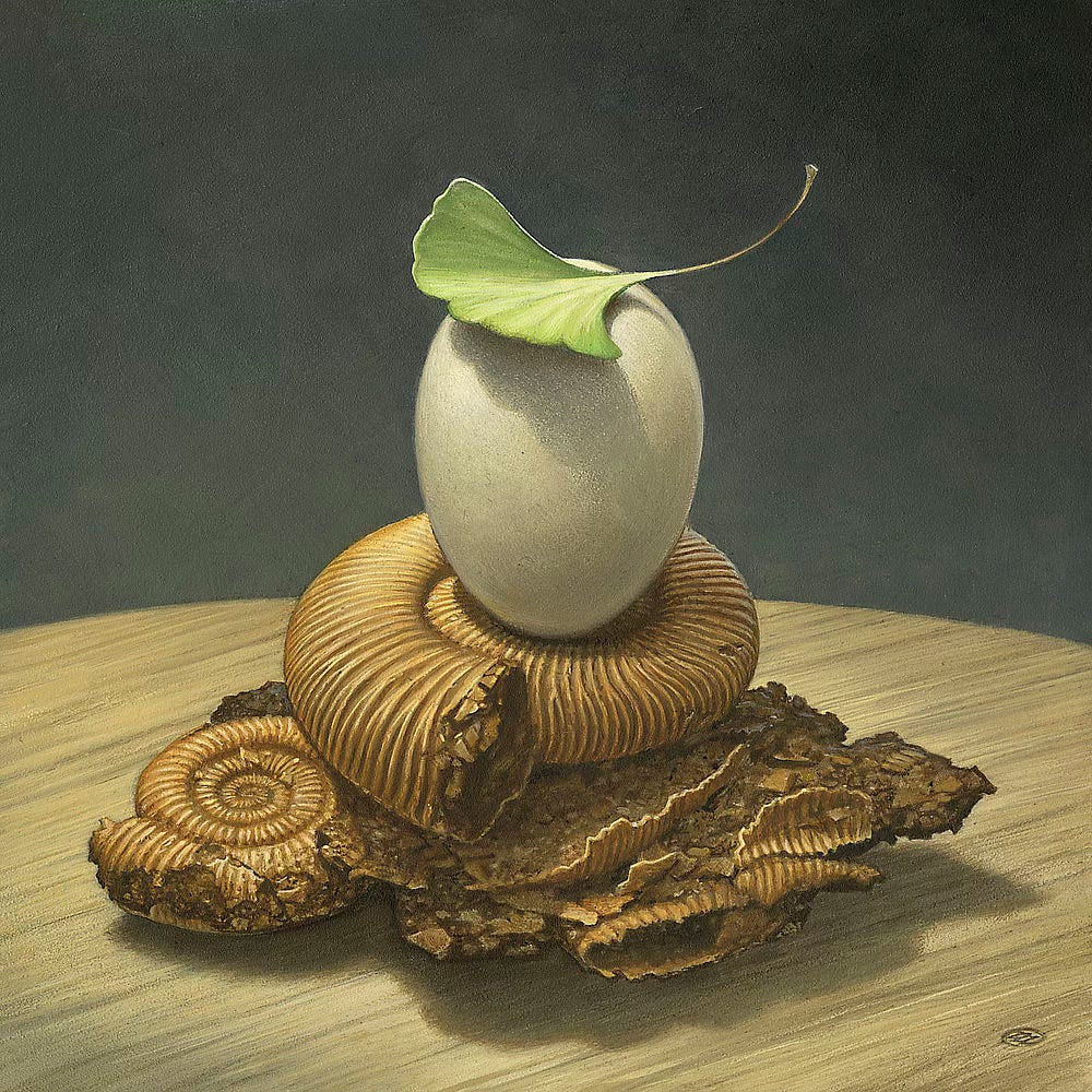 A ginkgo leaf balances on top of an egg. The egg stands up narrow side down at the center of a narrow ammonite fossil stacked on a layer of ammonites broken to different degrees. The whole stack rests upon a grainy wooden table with only the rounded edge visible against an olive background.