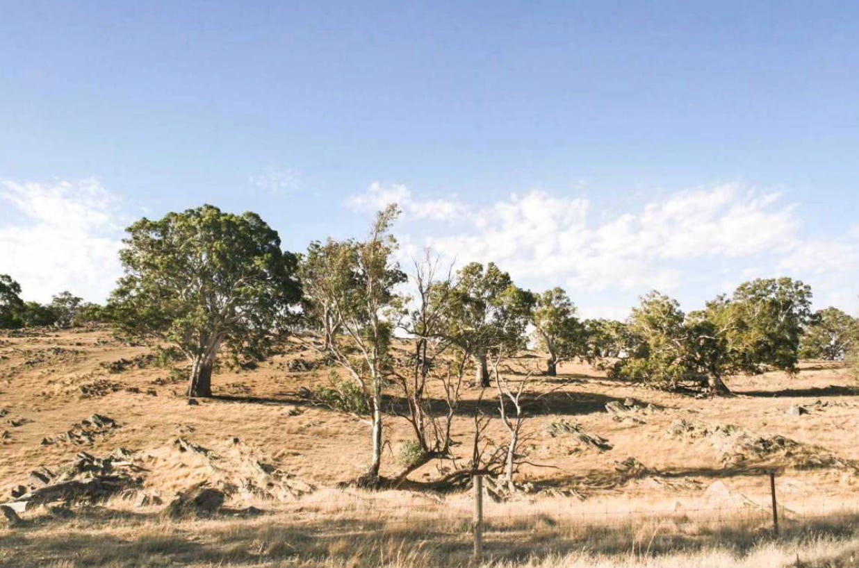 Barossa Valley scenery