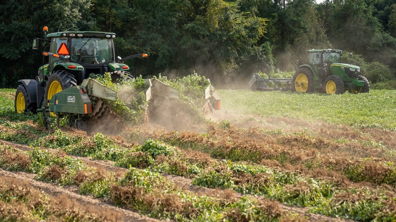 Free Tractors Harvesting Peanuts Stock Photo