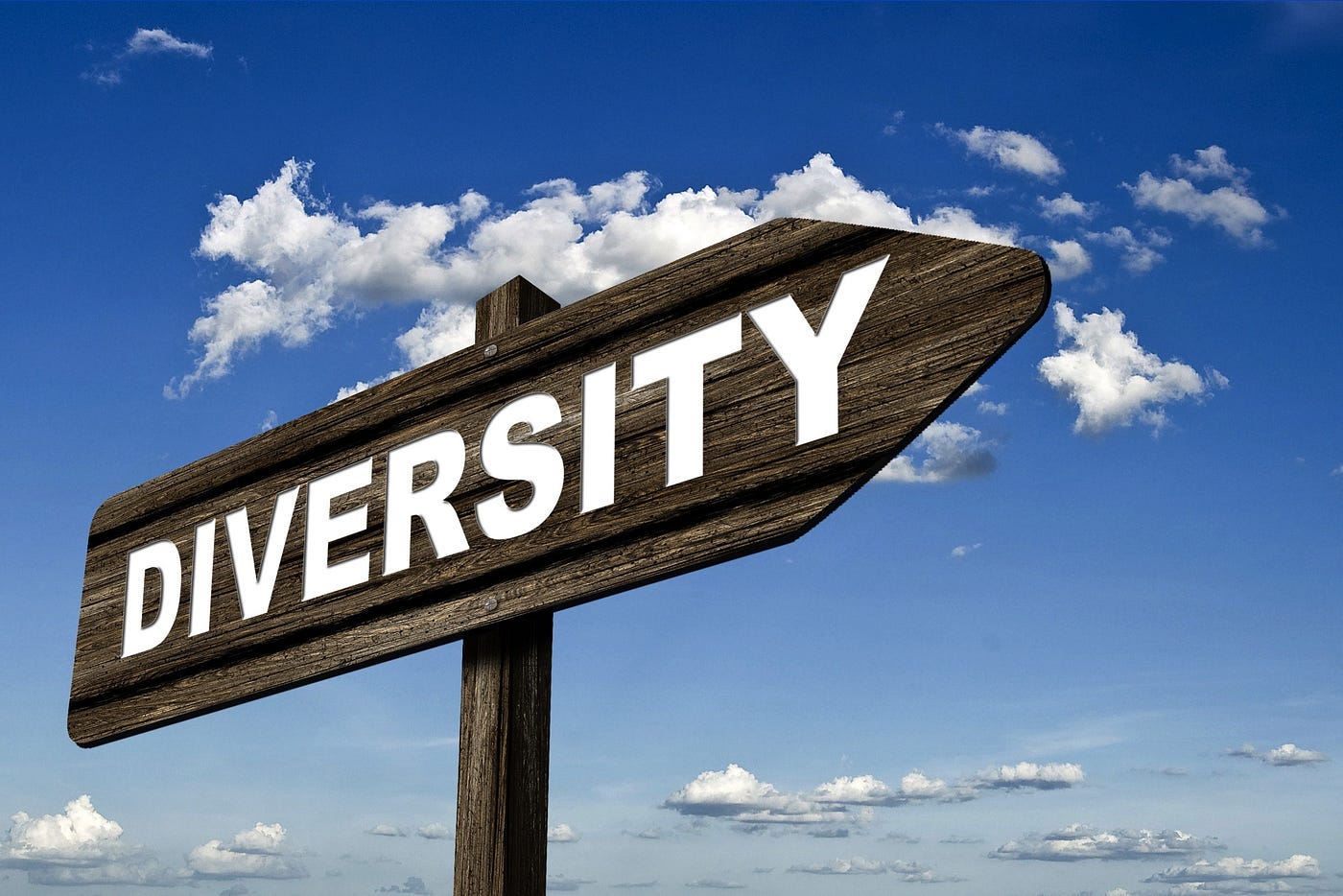 Diversity Is Our Strength?. To work and not wreck, diversity needs… | by  Avi Woolf | Medium