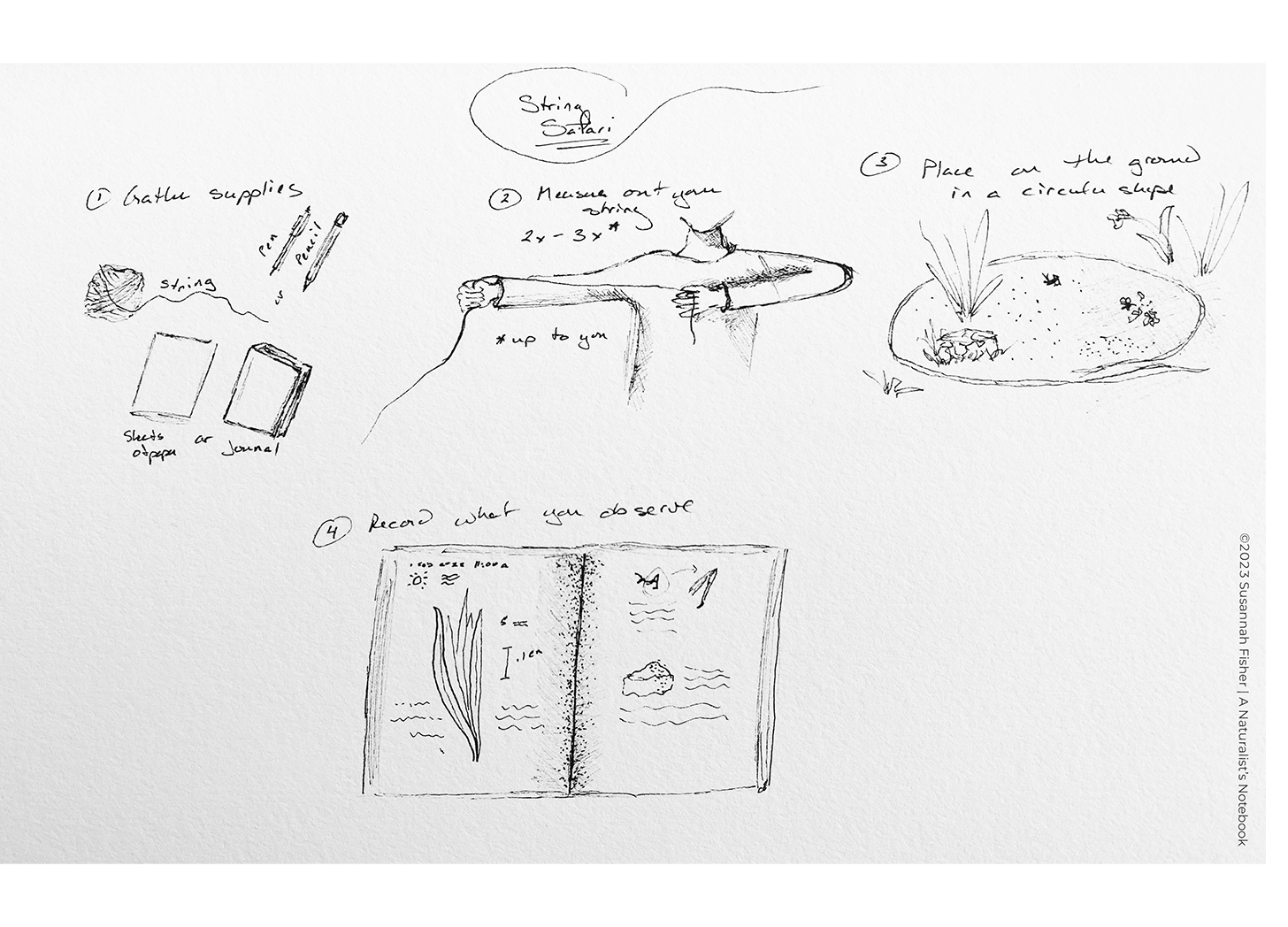 sketchbook page illustrating the steps to String Safari