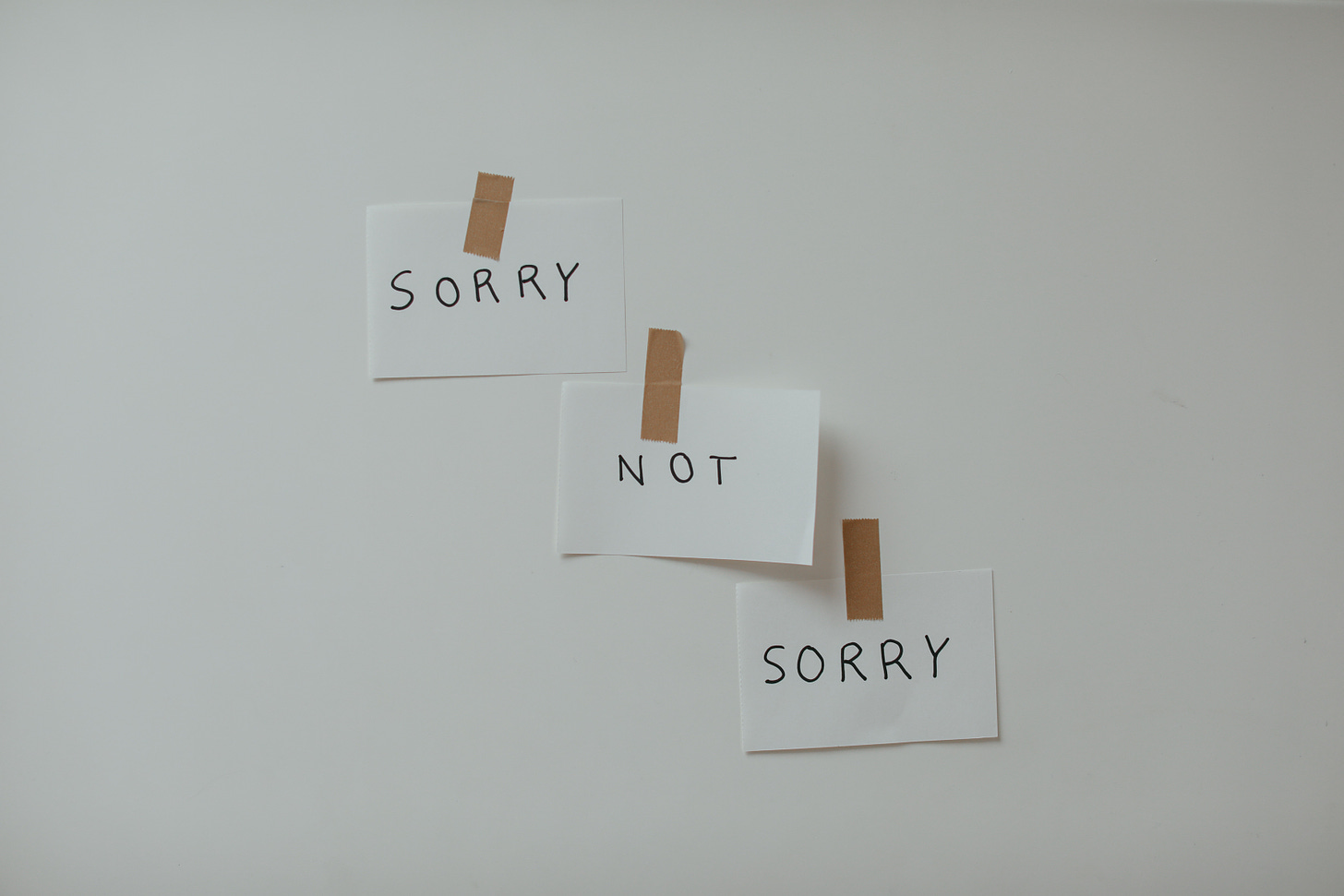 3 notes on a white wall that each say sorry, not, and sorry on them