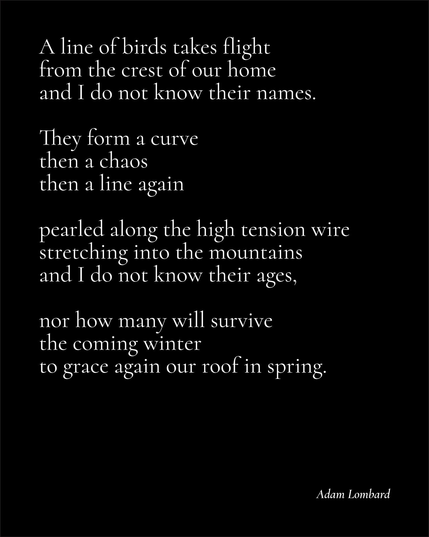 A poem. White text on a black card, which reads: "A line of birds takes flight from the crest of our home  and I do not know their names.  They form a curve then a chaos then a line again  pearled along the high tension wire stretching into the mountains and I do not know their ages,  nor how many will survive the coming winter to grace again our roof in spring. — Adam Lombard"