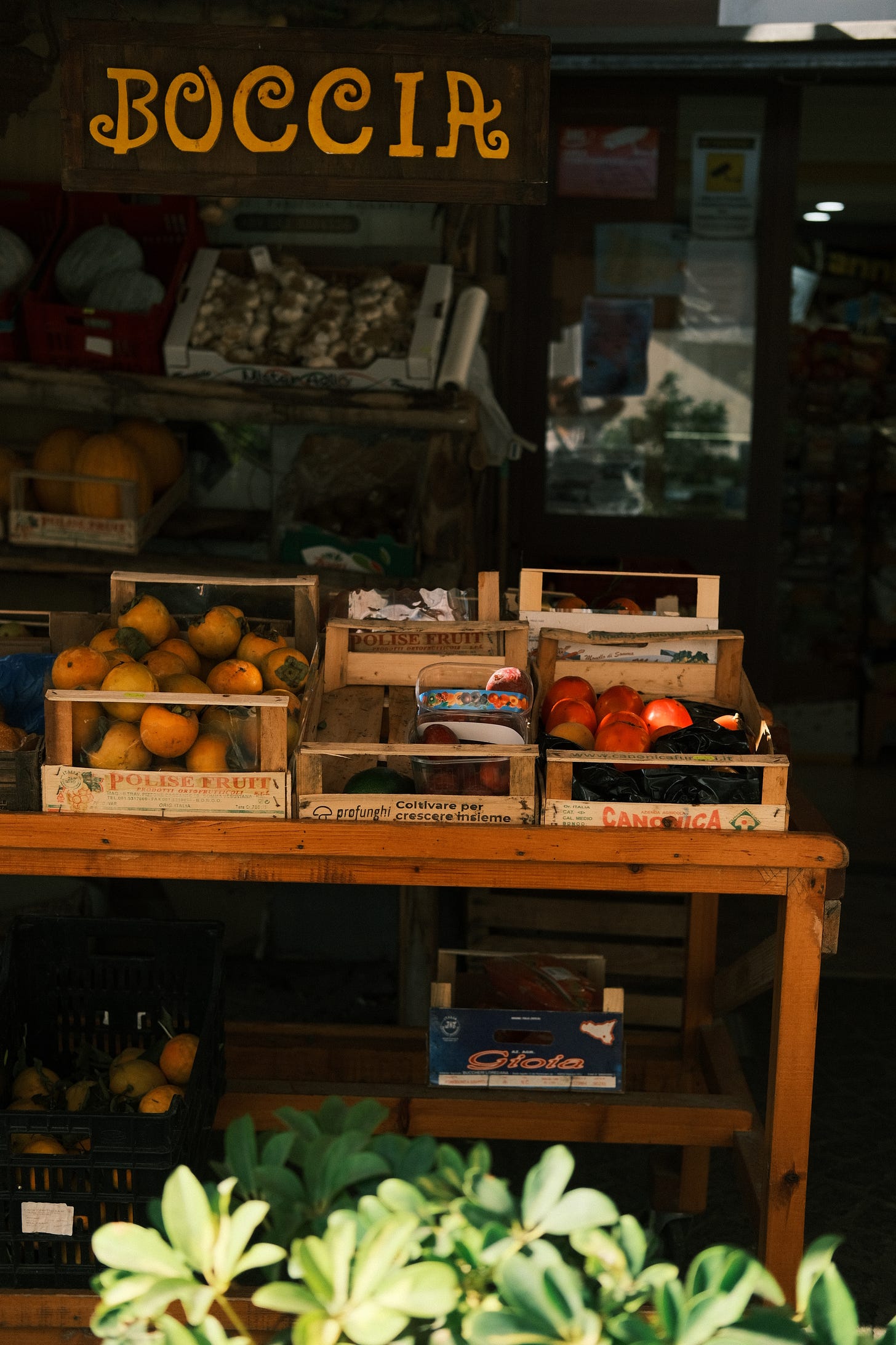 Italian olived oil travel story by food and travel writer Courtney Jill Bishop duty free shopping tips and tricks. 