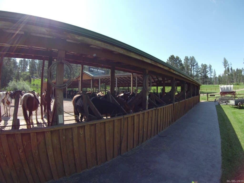 Horseback riding in the Black Hills Horseback riding in the Black Hills