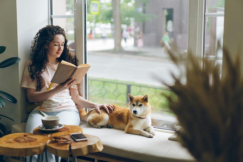Woman reading a book, sitting at window with her dog. Woman reading a book, sitting at window with her dog.
