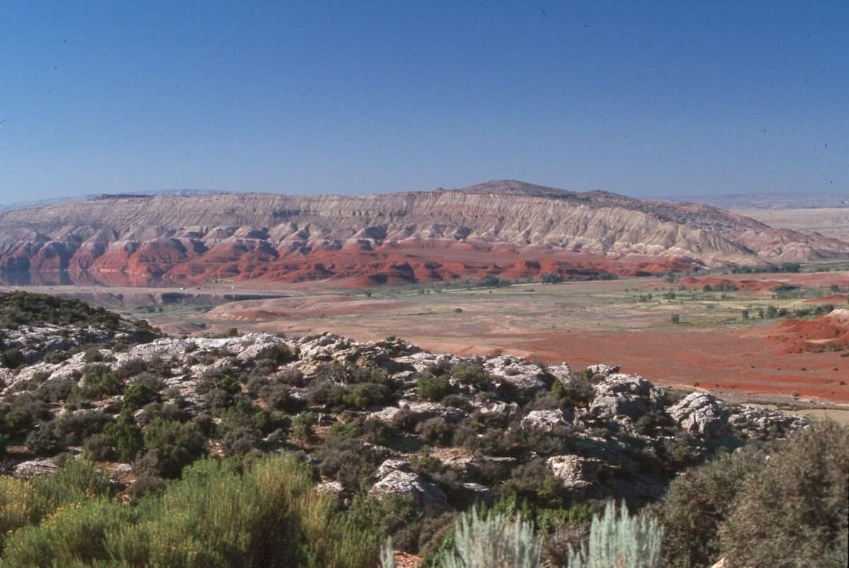 Working Lands Snapshot | GREAT BASIN | Working Lands For Wildlife