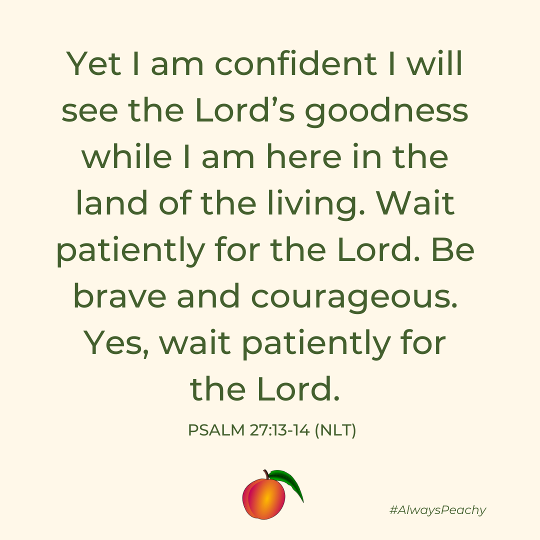 Yet I am confident I will see the Lord’s goodness while I am here in the land of the living. Wait patiently for the Lord. Be brave and courageous. Yes, wait patiently for the Lord. Psalm 27:13-14