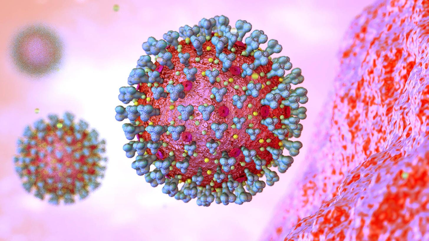 Corona-Pandemie - Chinesische Forscher veröffentlichen Daten zum Ursprung  des Corona-Virus