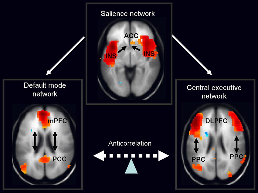 Brain images of the default mode, salience and central executive networks