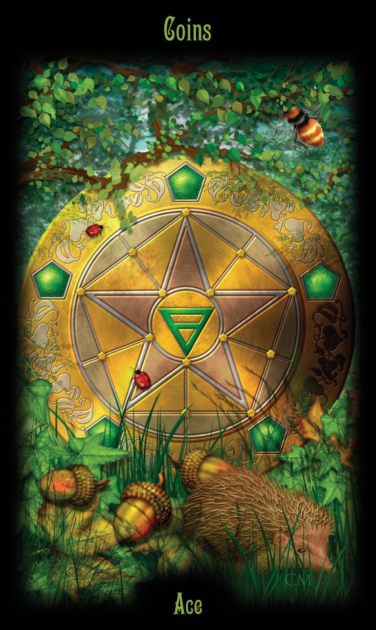 the book cover for ace of coins, featuring an image of a gold wheel surrounded by green leaves